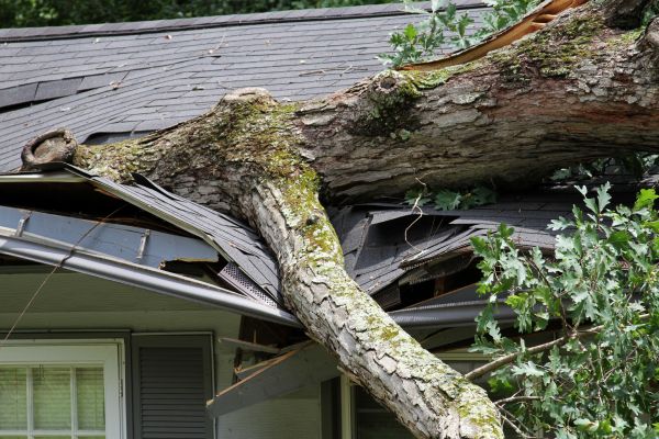 Cost of Storm Remediation in Nampa