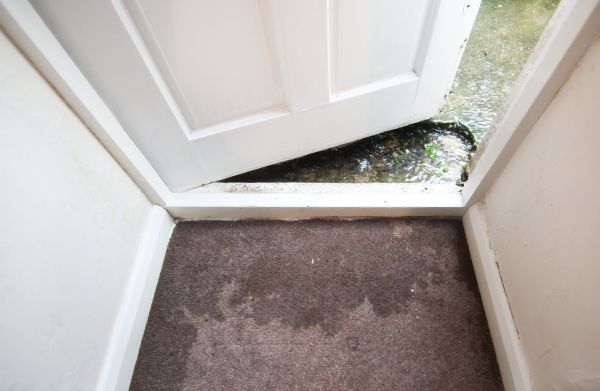 Wet Carpet Restoration in Nampa