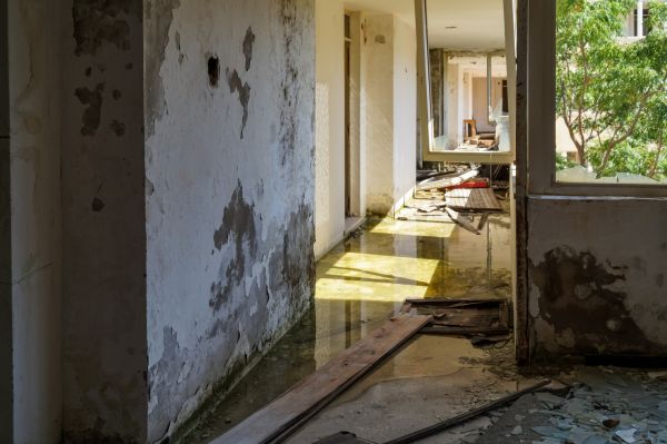 Cost of Water Removal Service in Nampa