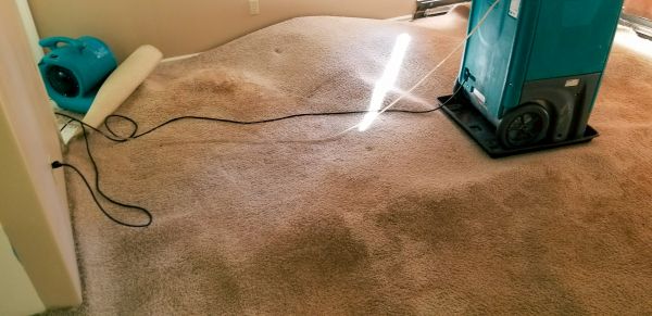 Carpet Water Extraction in Nampa