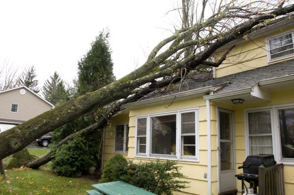 Hurricane Damage Repair in Nampa